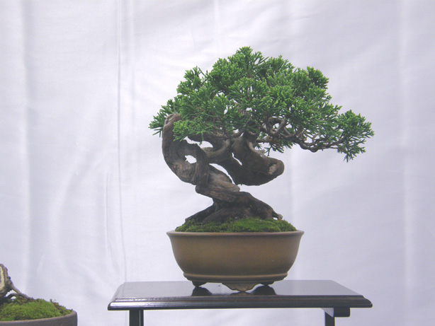 2011101120405460b.jpg