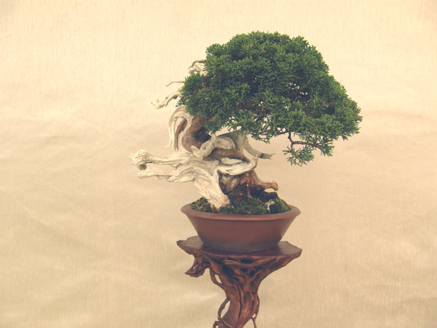 2011101519442792b.jpg