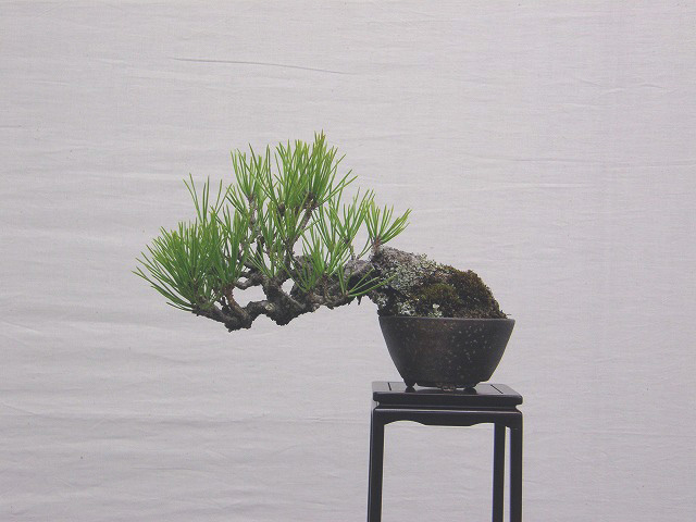 2012011823185787d.jpg