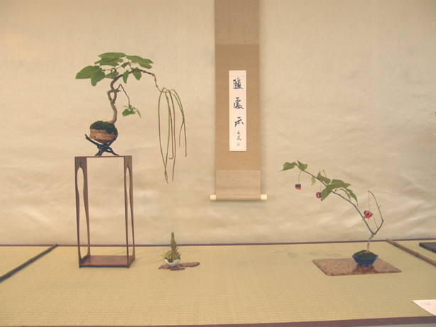 20111015194446227.jpg