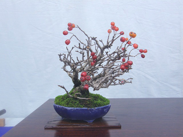 111120kamatsuka01.jpg
