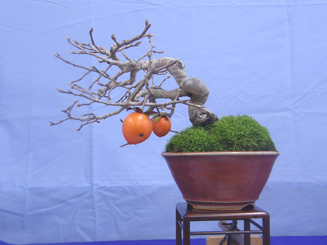 111120rouyagaki01.jpg