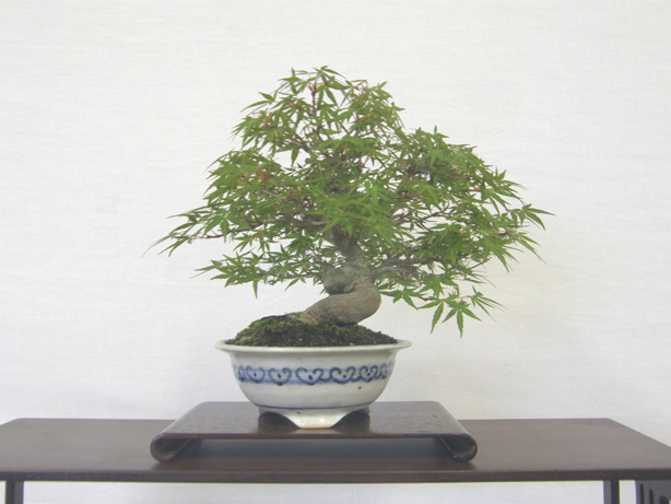 20110626220013cc6.jpg