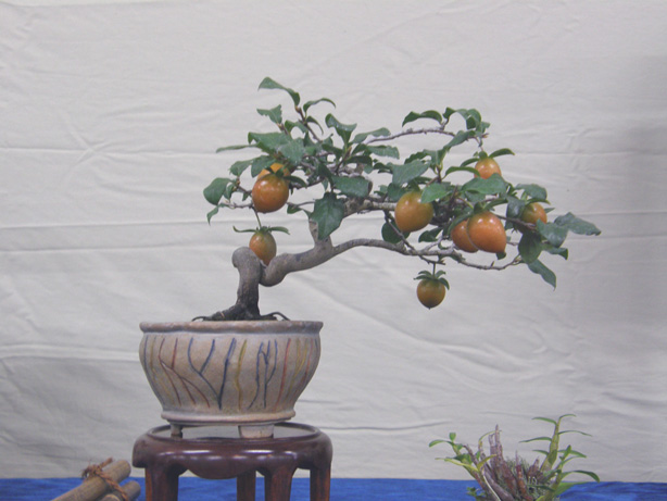 20111013193647b1e.jpg
