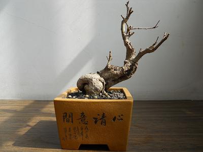 ʯ1.JPG
