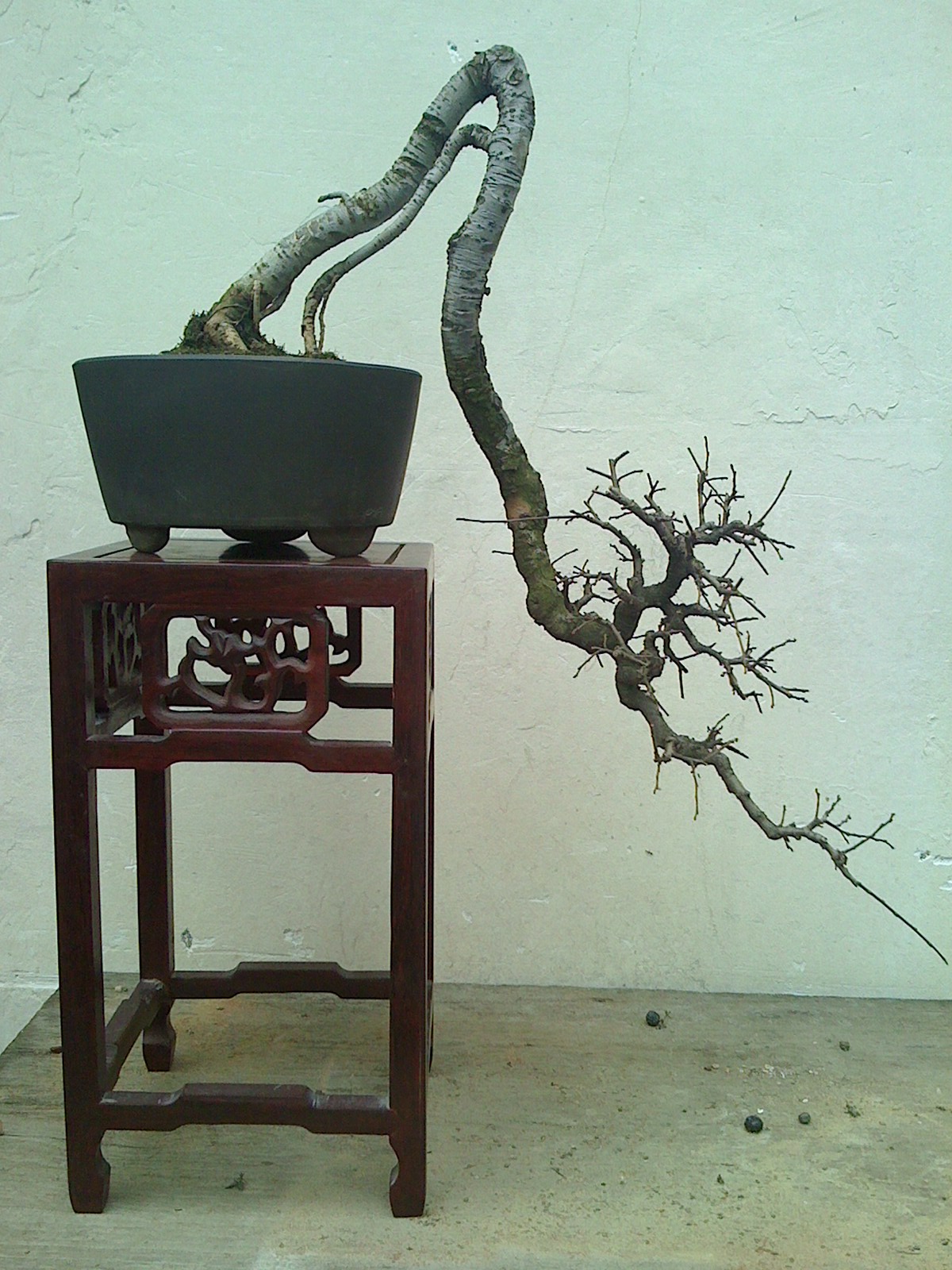 IMG0218112200.jpg