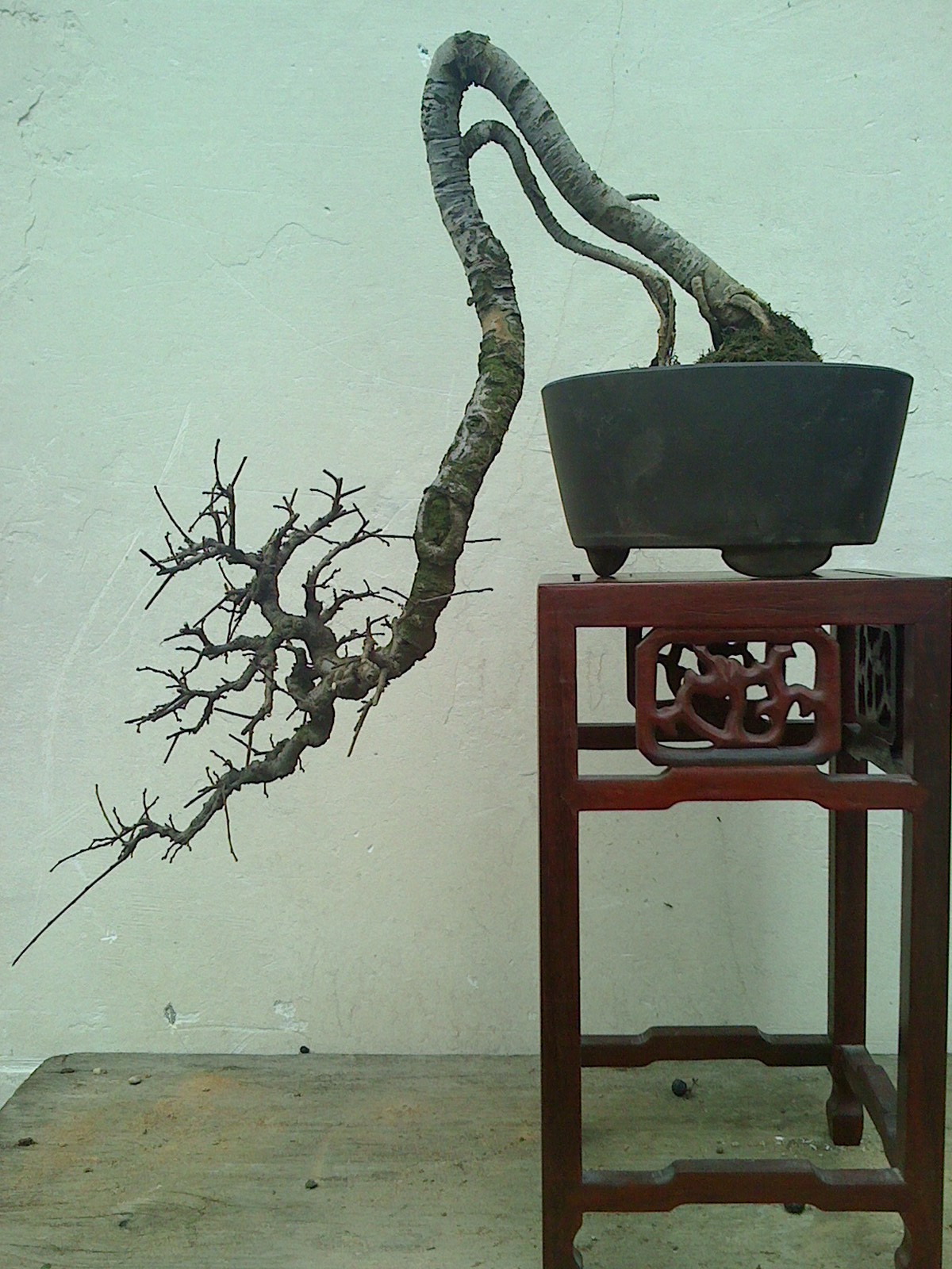 IMG0218112700.jpg