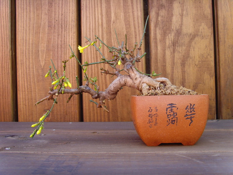 SNV31054.jpg