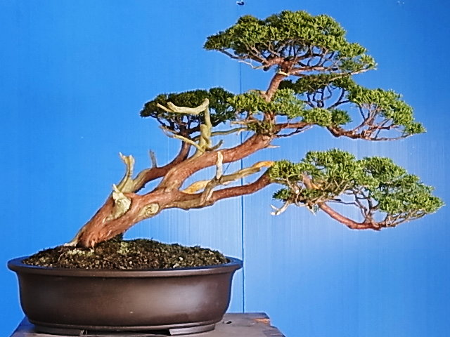 f0147853_1240308.jpg