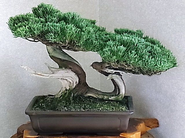 f0147853_1950181.jpg