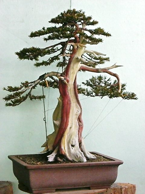 f0147853_2061261.jpg