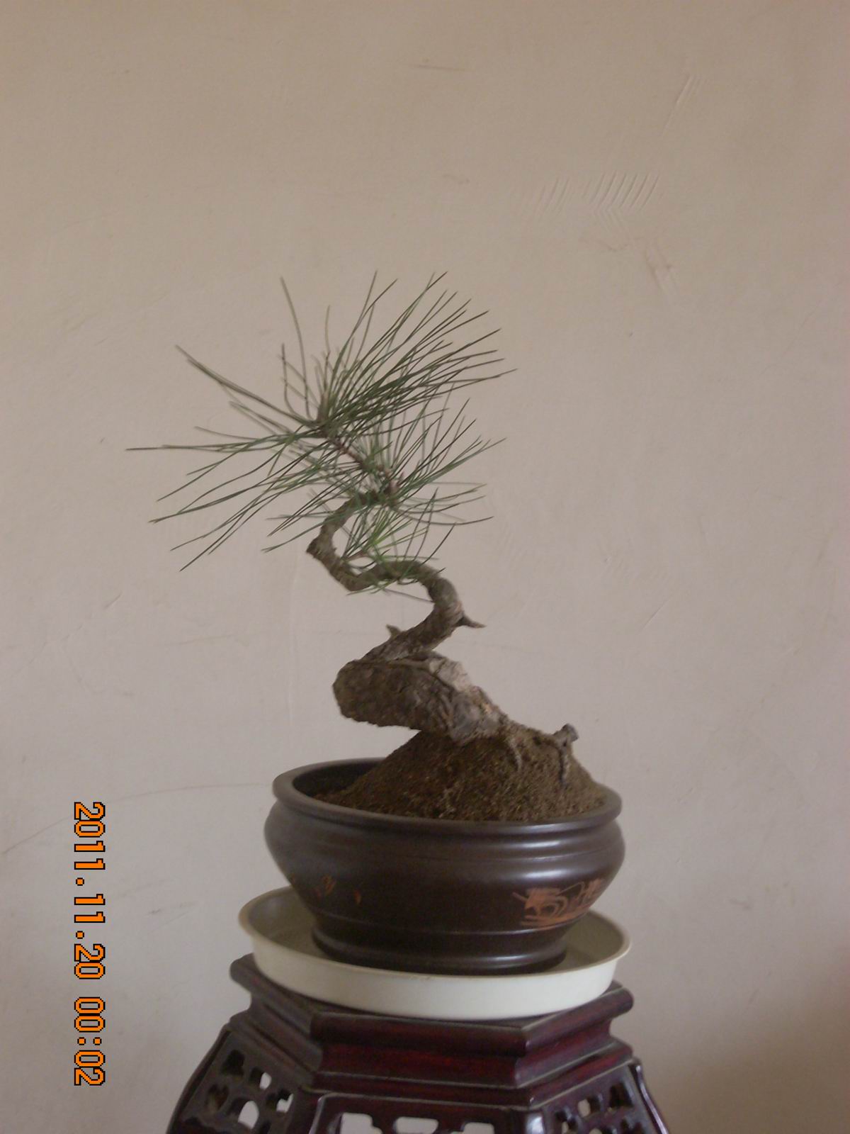 С ת DSCN1729.JPG