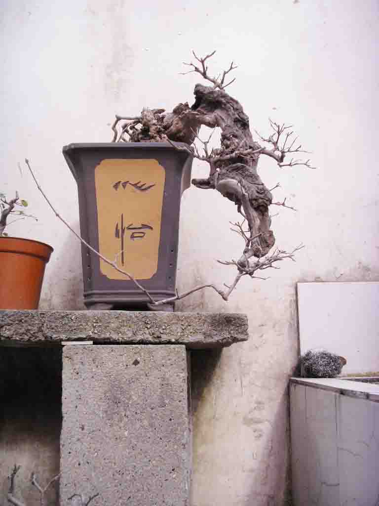 SDC12557.JPG