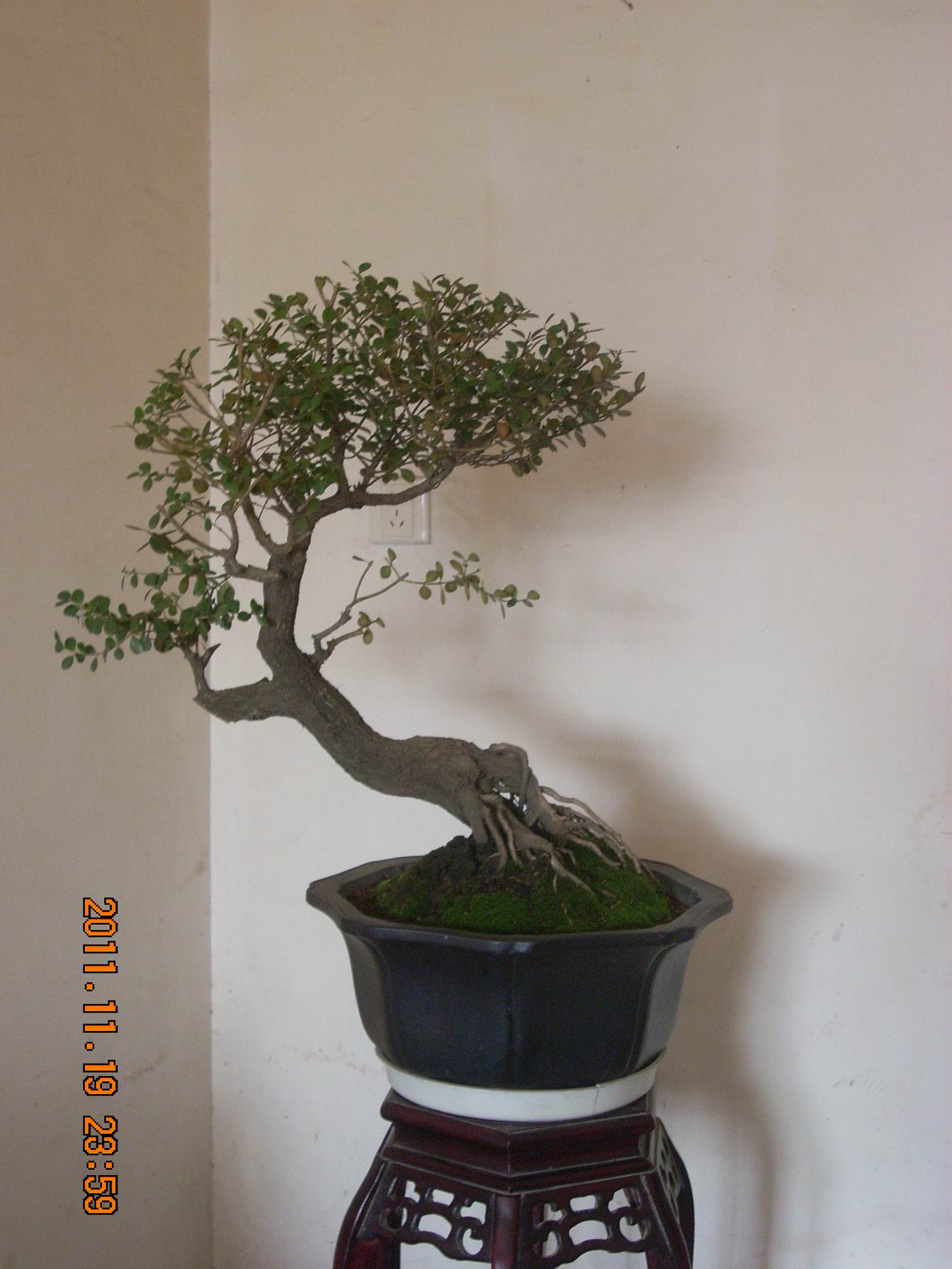 С ת DSCN1725.JPG