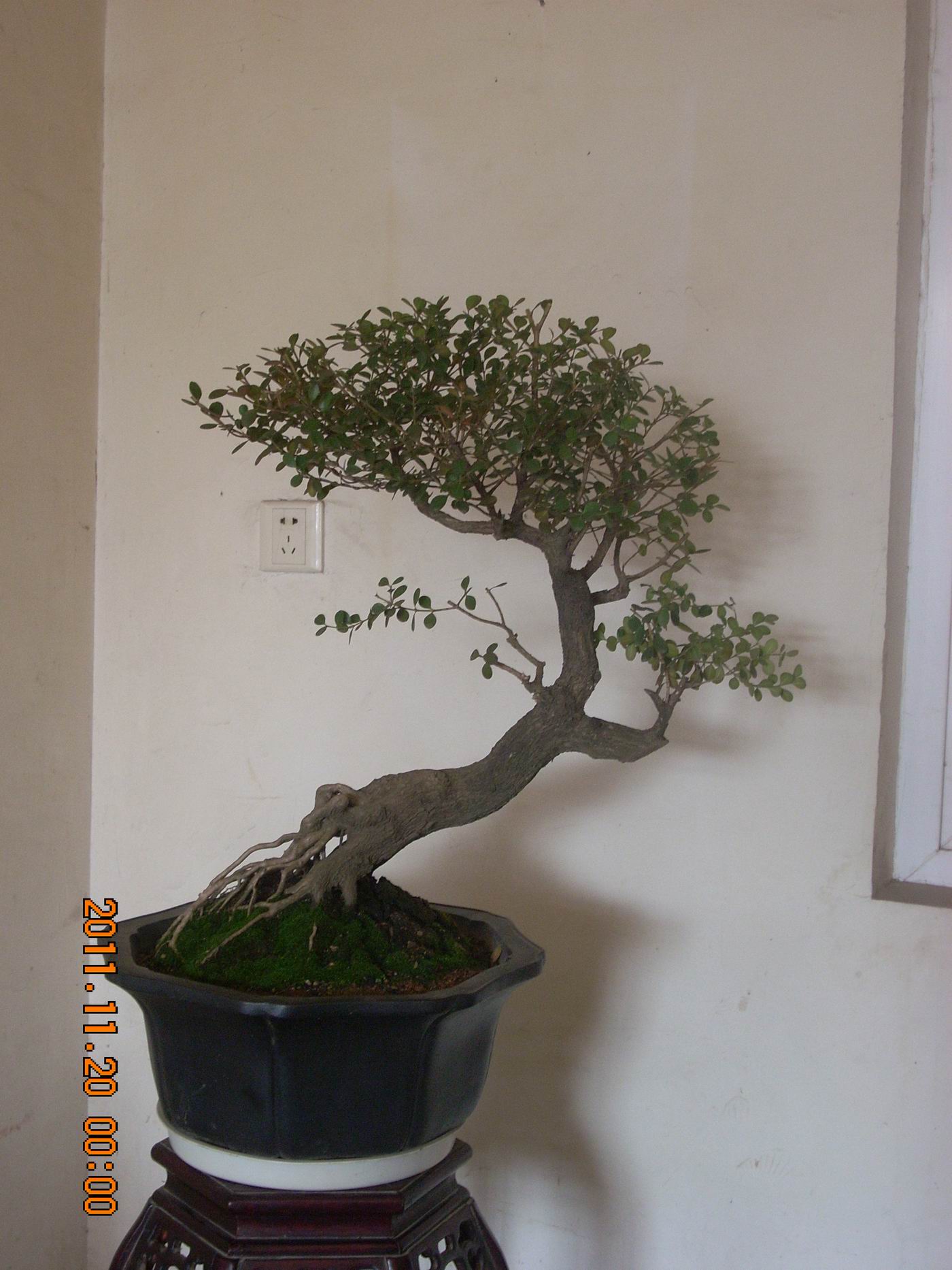 С ת DSCN1726.JPG