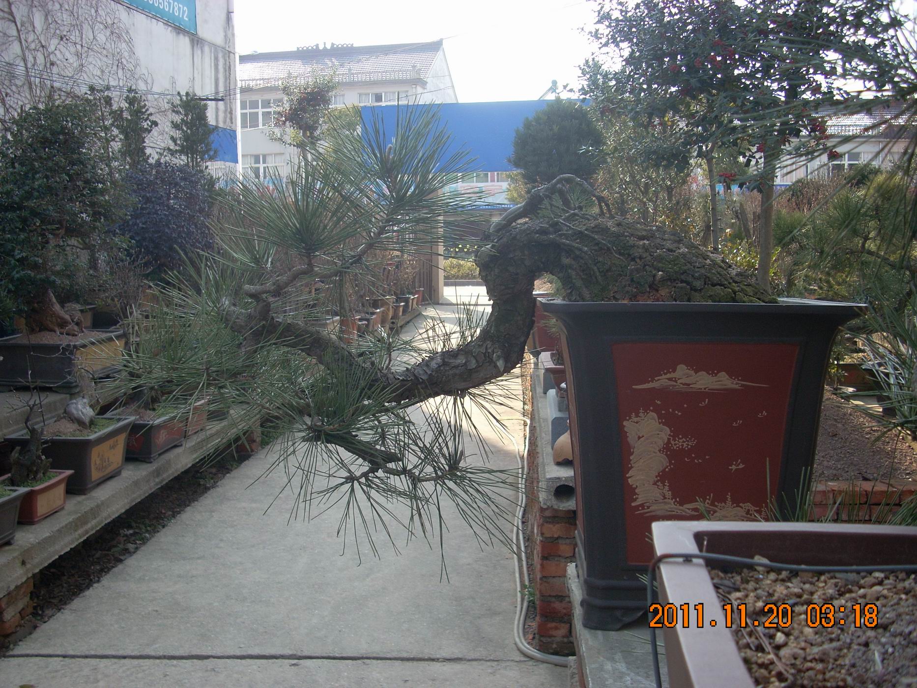 С DSCN1756.JPG