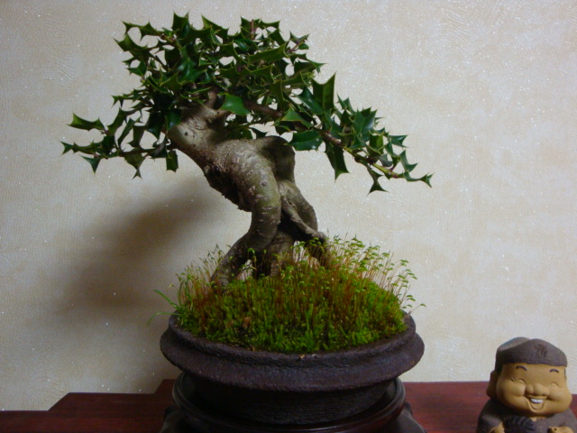 DSC07837.JPG