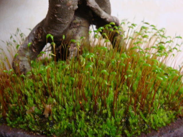 DSC07839.JPG