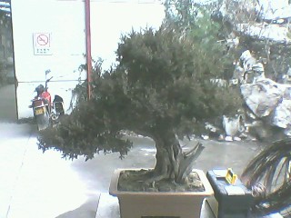 IMG0114A.jpg