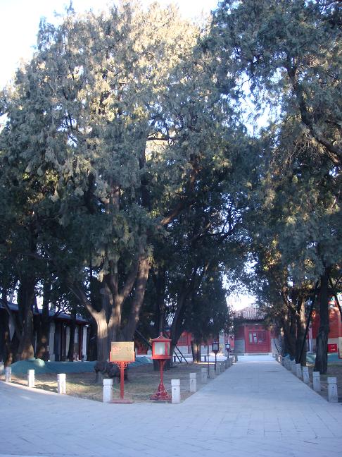 DSC00702.JPG