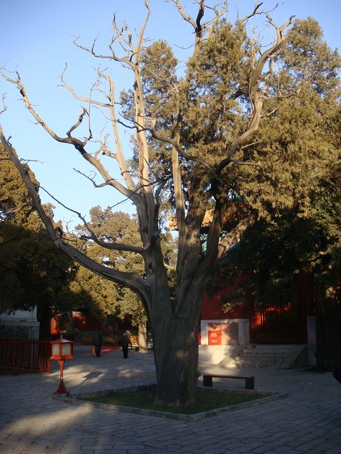 DSC00716.JPG