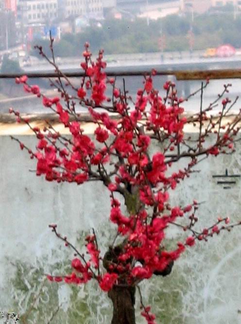 ת С ع 12.2.16 014.jpg