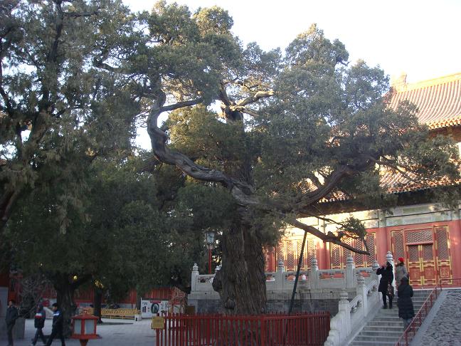 DSC00724.JPG