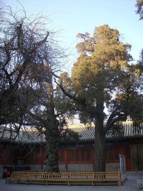 DSC00727.JPG