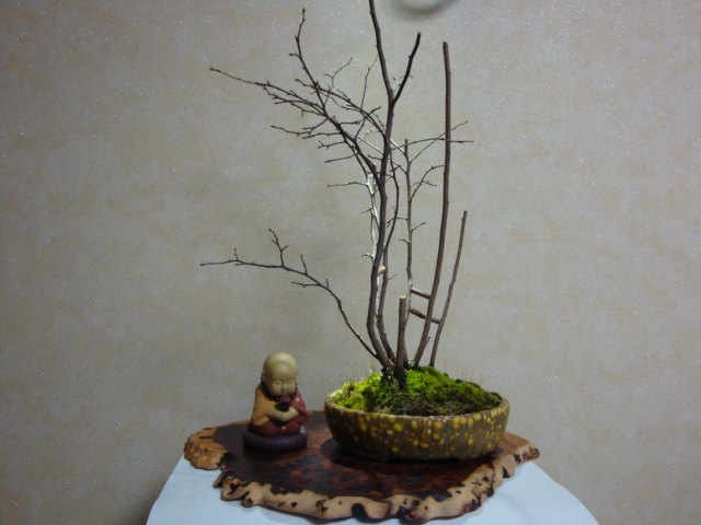 DSC07854.JPG