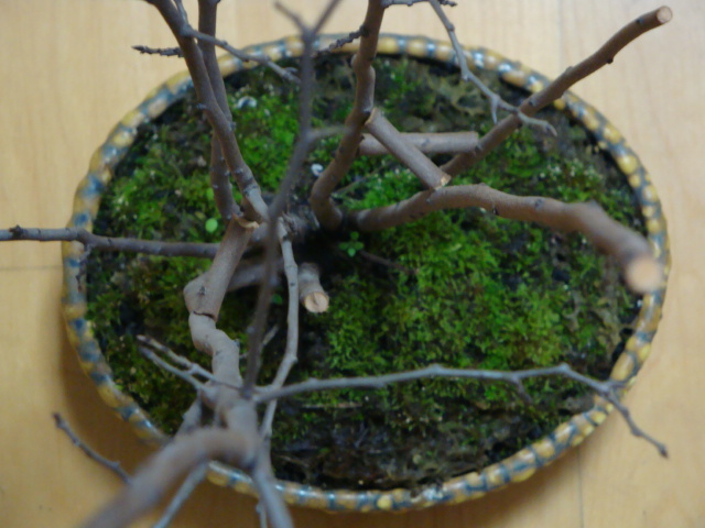 DSC07858.JPG