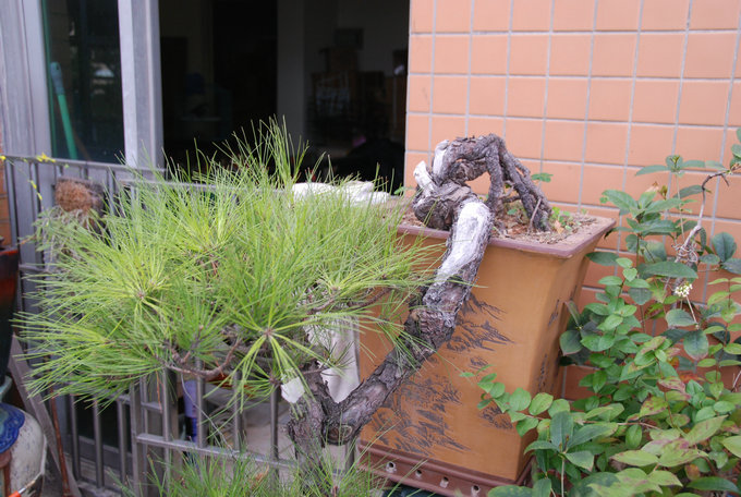 DSC_0662.JPG