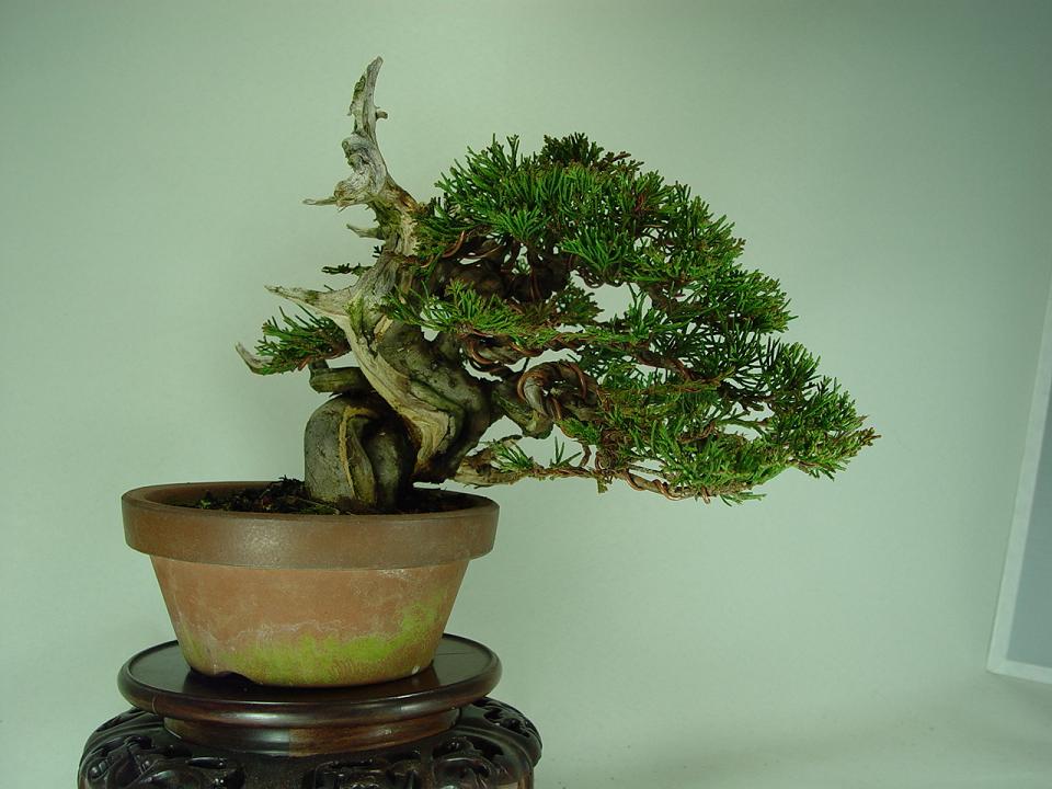 DSC04200.jpg