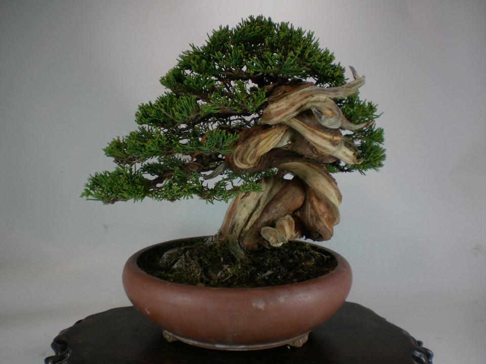P3100005.jpg
