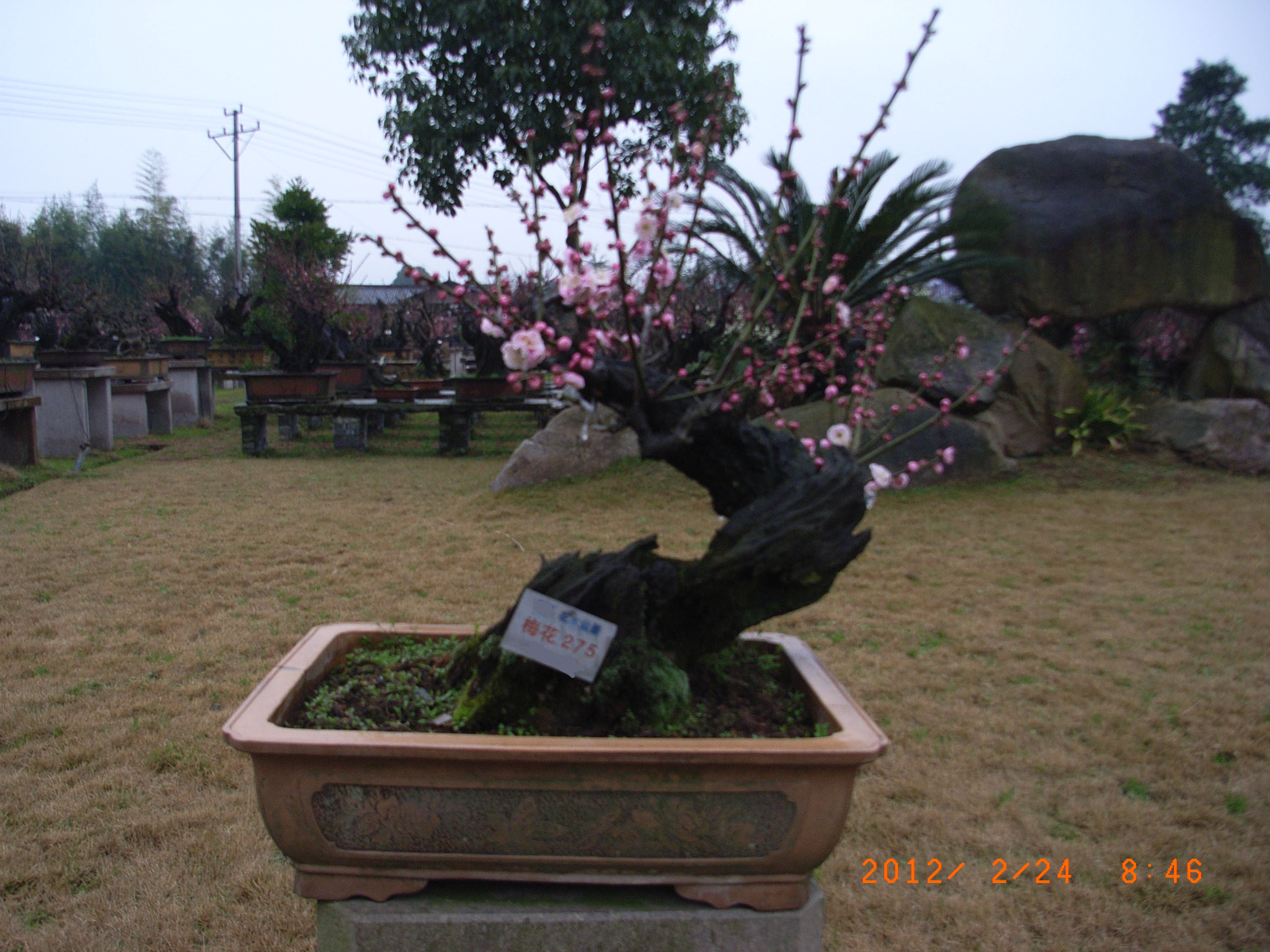 RIMG0173.JPG