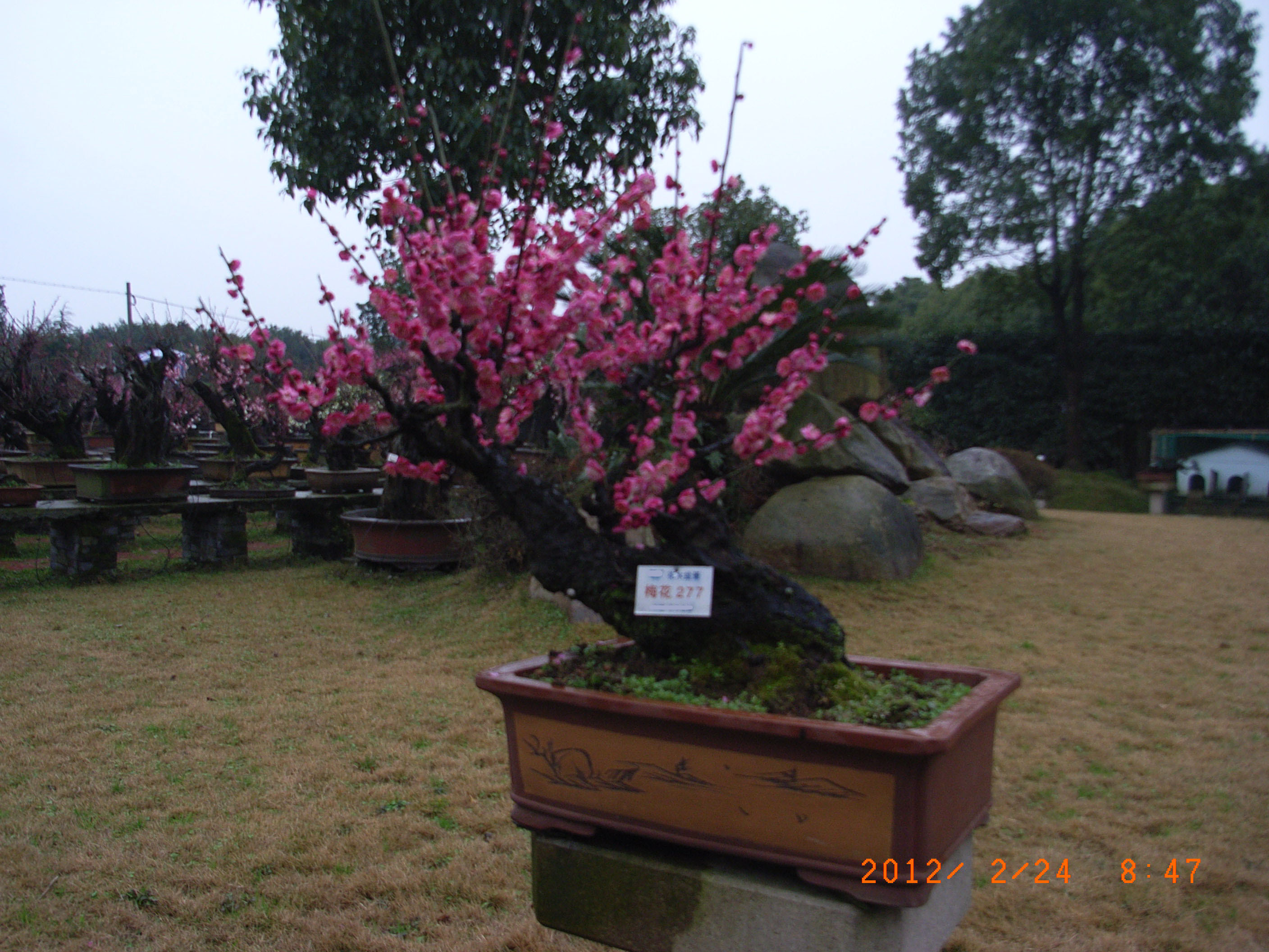 RIMG0174.JPG