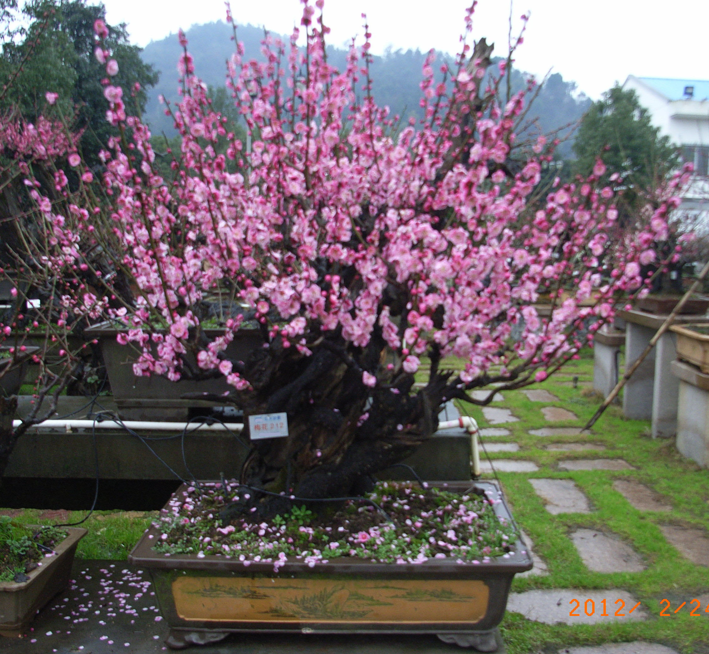 RIMG0180.JPG