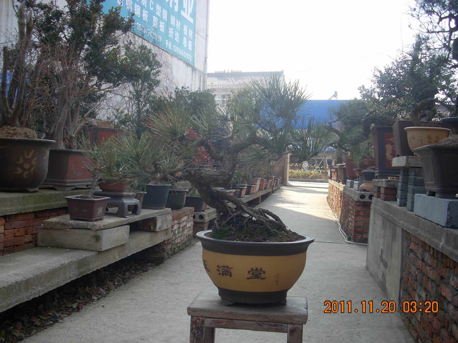 С DSCN1760.JPG