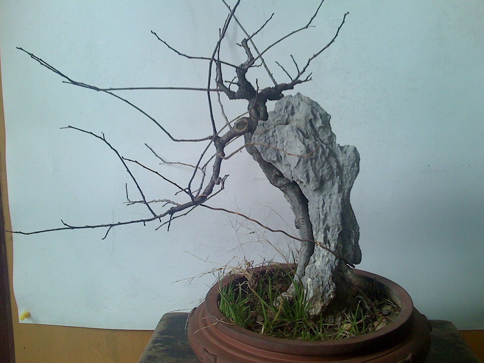 IMG0131155900.jpg