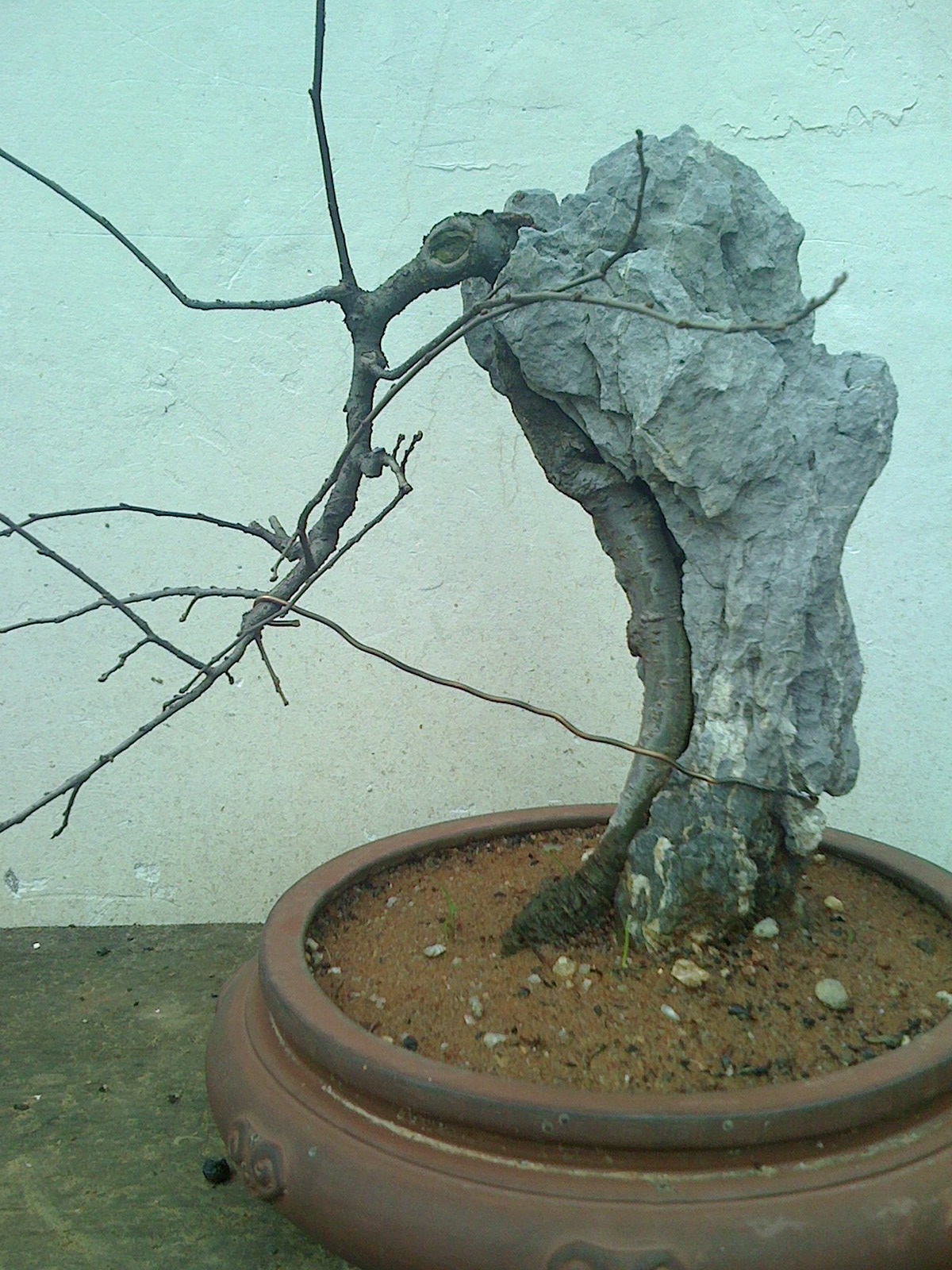IMG0224161500.jpg