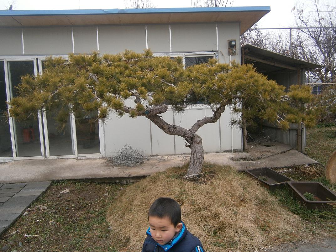 P2242020.JPG