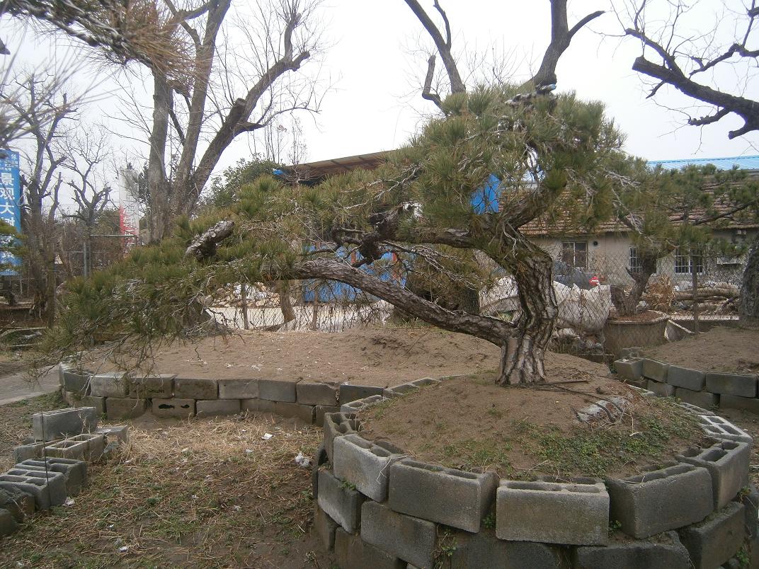 P2242022.JPG