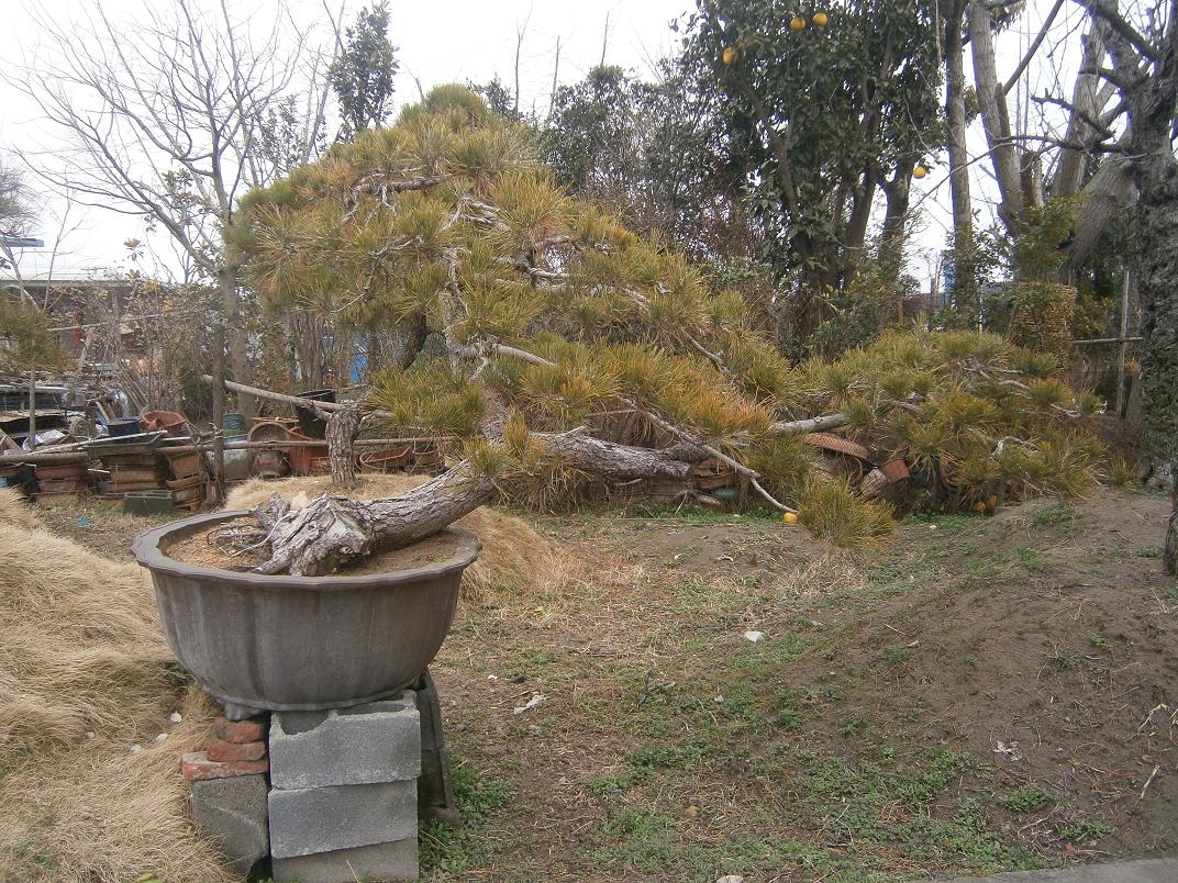 P2242024.JPG