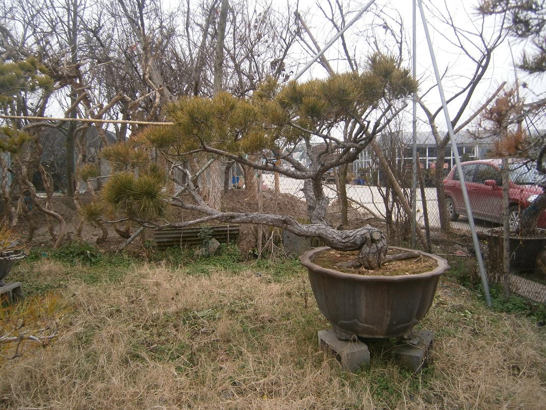 P2242026.JPG