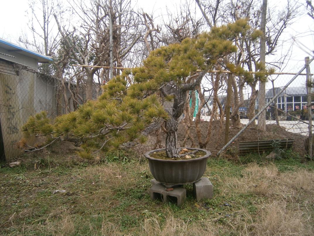 P2242027.JPG