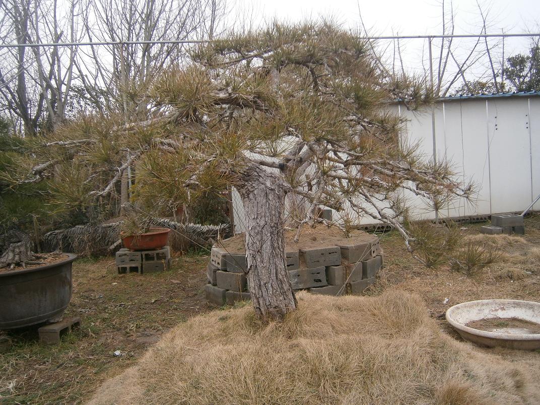 P2242028.JPG