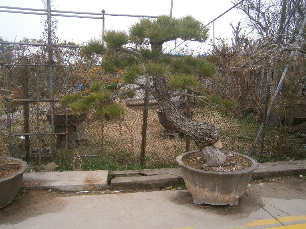 P2242030.JPG