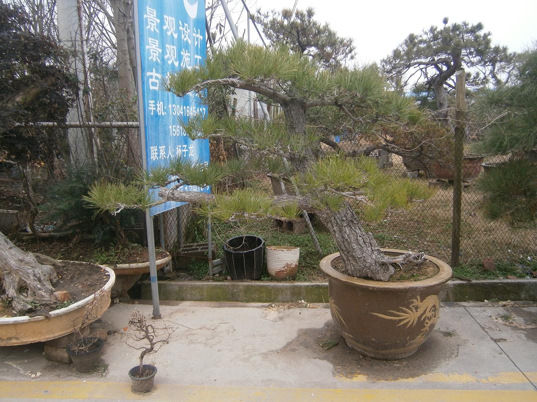 P2242031.JPG