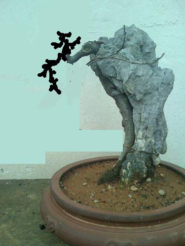 IMG0224161500_jpg_thumb.jpg