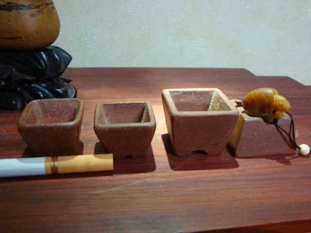 DSC07887.JPG