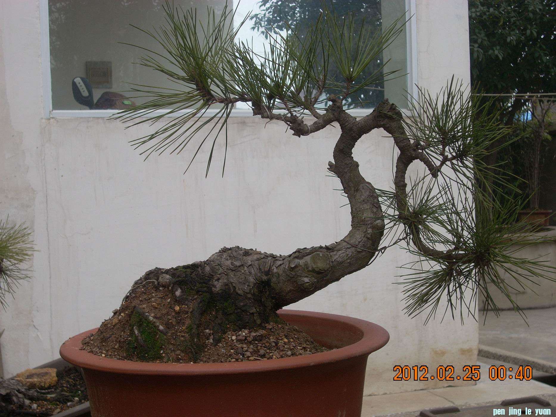 С DSCN0056.JPG